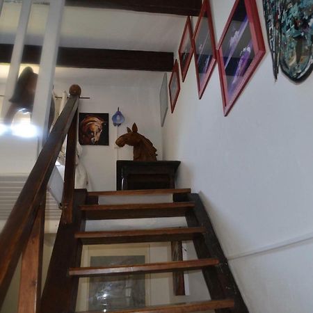 Gites Chambres D'Hotes Mazet Du Marechal Ferrant Saintes-Maries-de-la-Mer Bagian luar foto